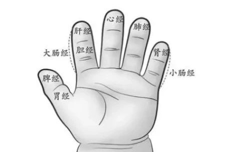 8f8c9859494db554a914f57b83c4787a.jpg 8f8c9859494db554a914f57b83c4787a.jpg