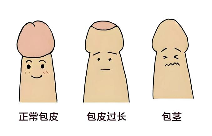 图片5.png 图片5.png
