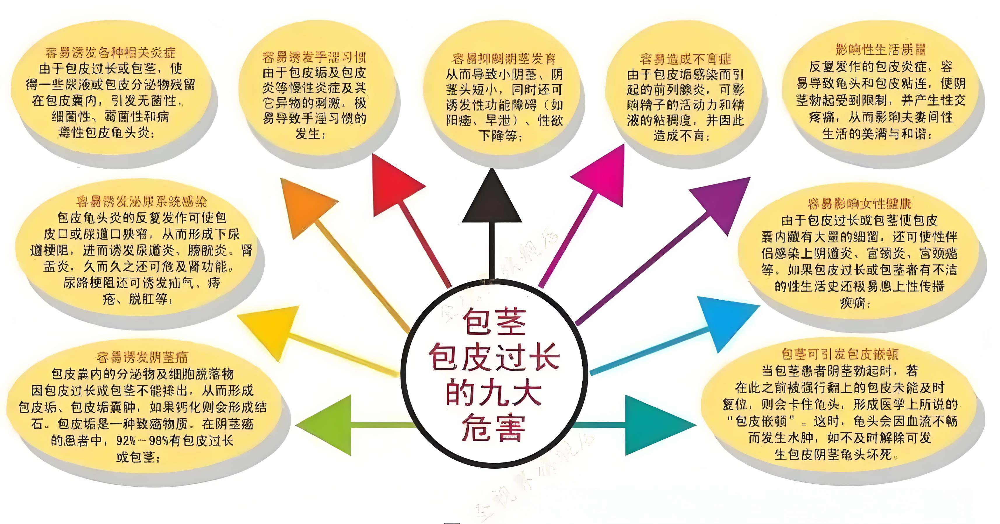 图片6.png 图片6.png